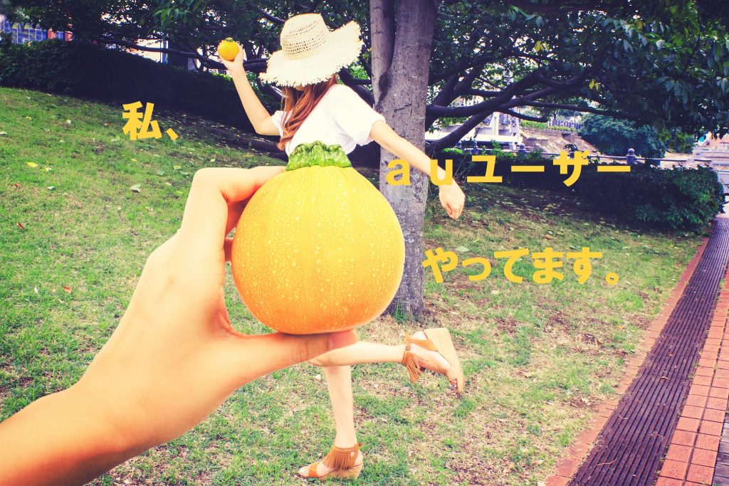 比較】AuビデオパスとドコモDtvならどっちに入会＆無料お試しする？ - 動画配信サービスの壺